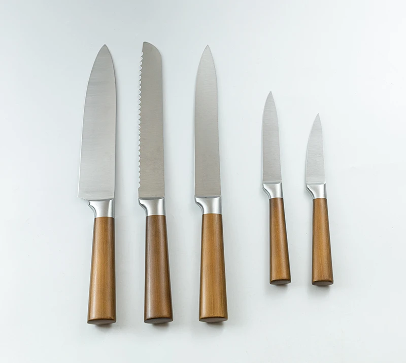 HS1028&nbsp;Ensemble de 5&nbsp;couteaux de cuisine + manche creux